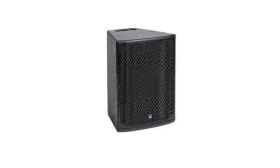 250W 10" 2-Way Speaker in Black