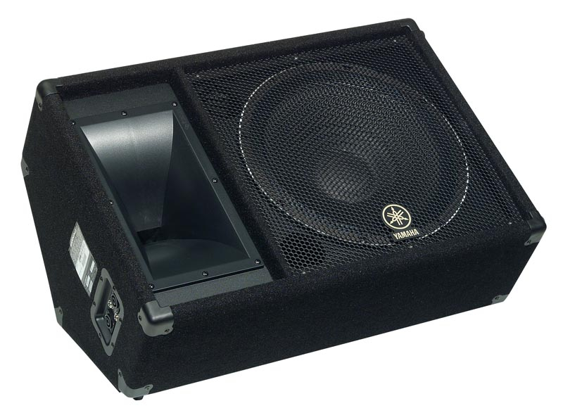 Concert Club V Series 15" 2-Way 1000W Peak (8 Ohms) Floor Monitor