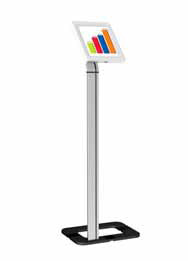 Anti Theft iPad Kiosk Stand