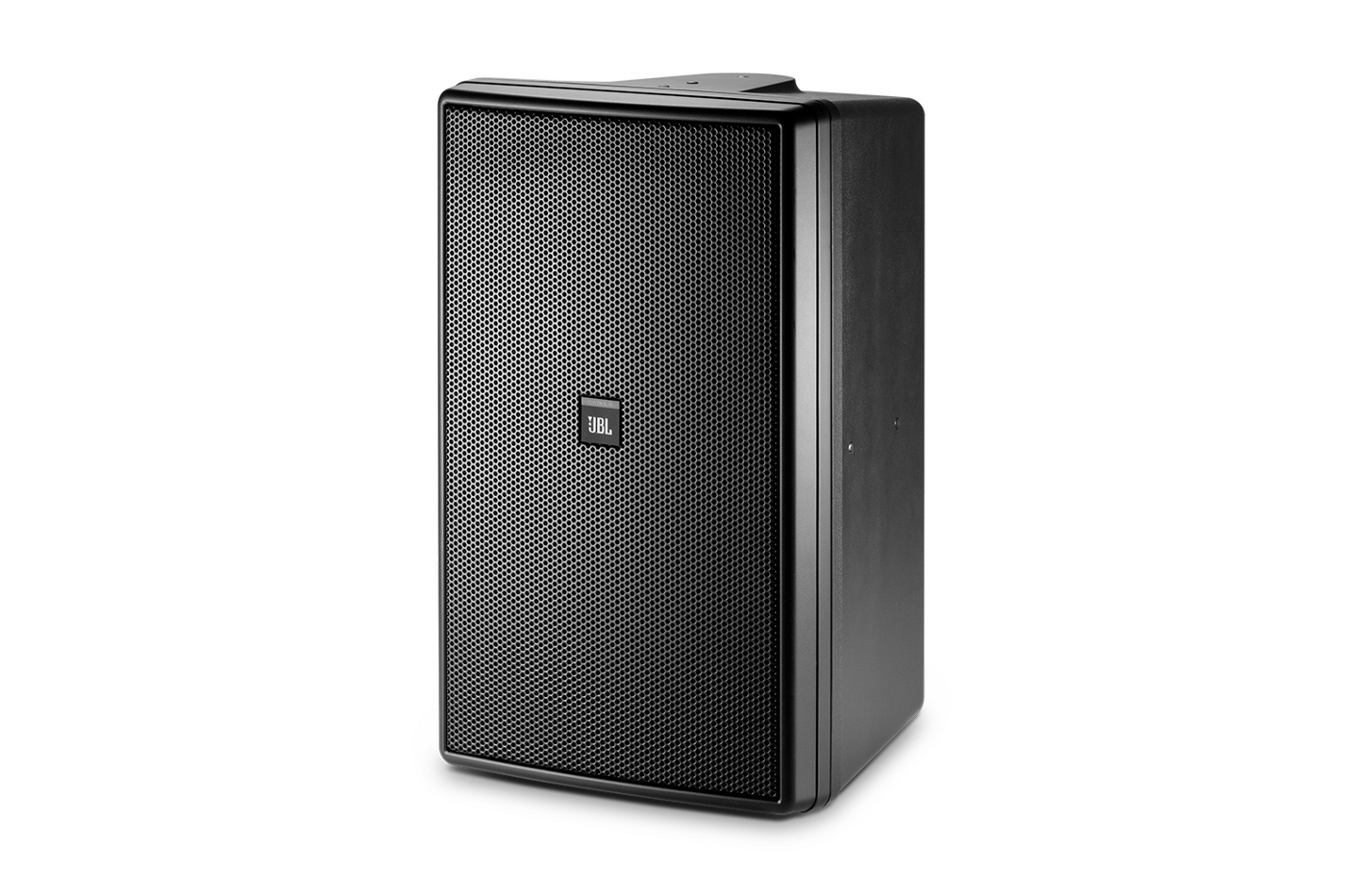 2-Way, 10" Surface Mount Speaker, Black