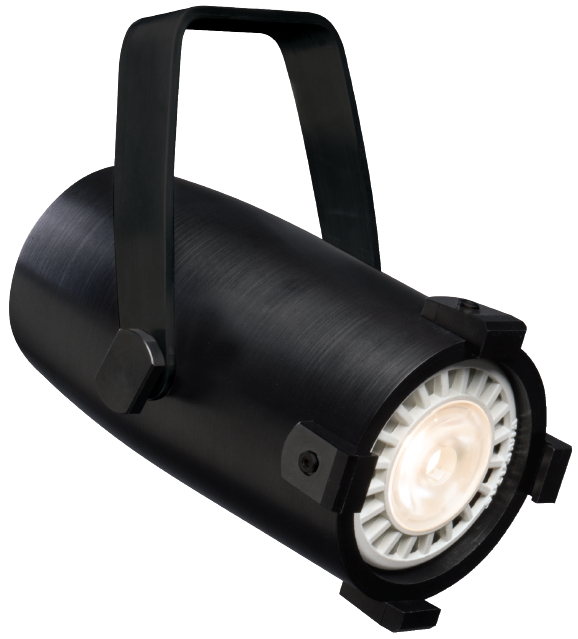 Par Can Light in Black