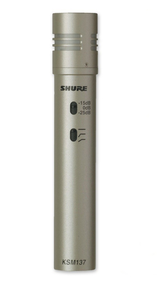 Condenser mics, stereo pair
