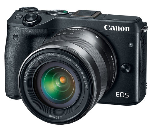 24.2 MP Camera with 18-55mm Lens in Black Body