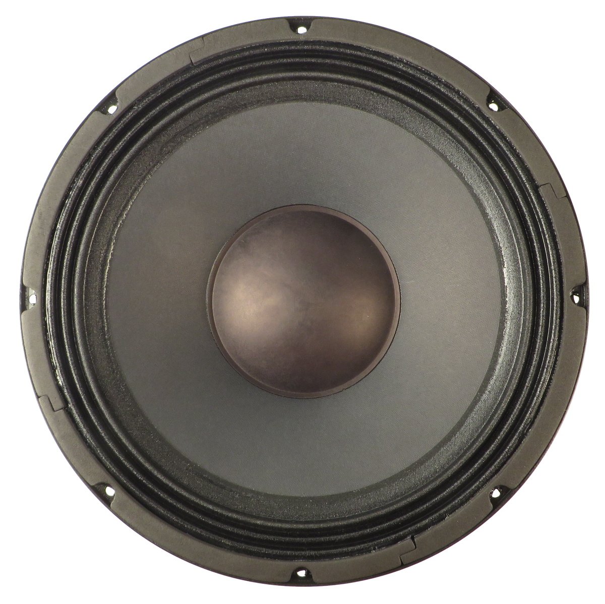 12" Woofer for ZXA1SUB