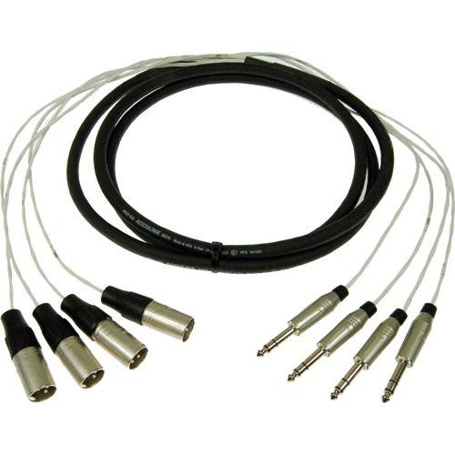 30 ft 4-Channel 1/4" TRS-M Fan to XLR-M Fan Studio Patch Snake