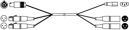 Siamese Twins Audio/Power Cable, PowerCon Grey to IEC, 2 XLRF to XLRM