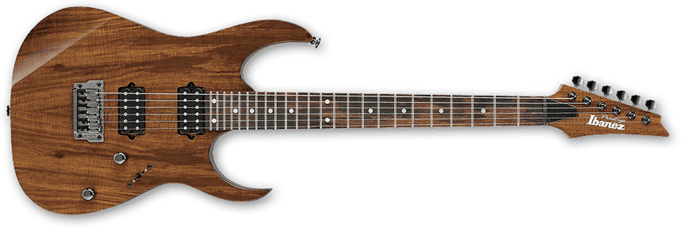 Prestige Electric Guitar with Case