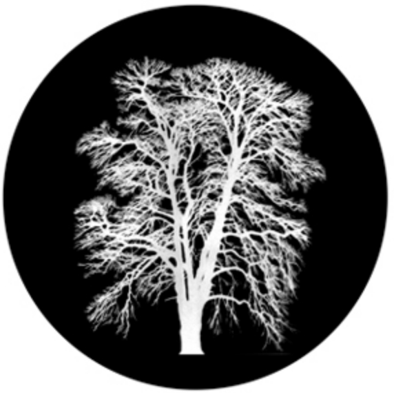 Barren Inverted Tree Glass Gobo