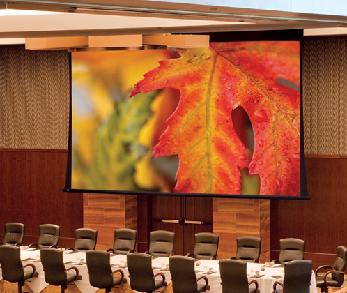 110 V Matt White XT1000V Projection Screen