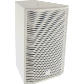2-Way, 10-Inch Speaker With U-Bracket