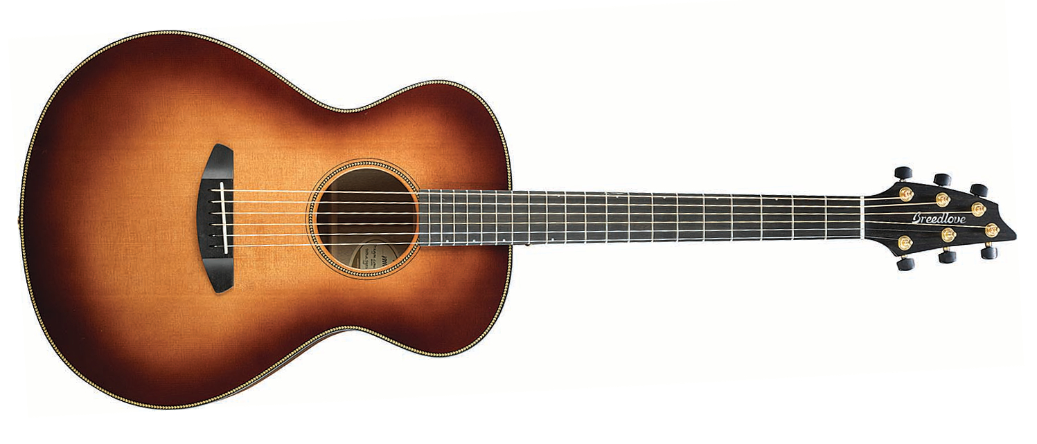 Acoustic-Electric Guitar