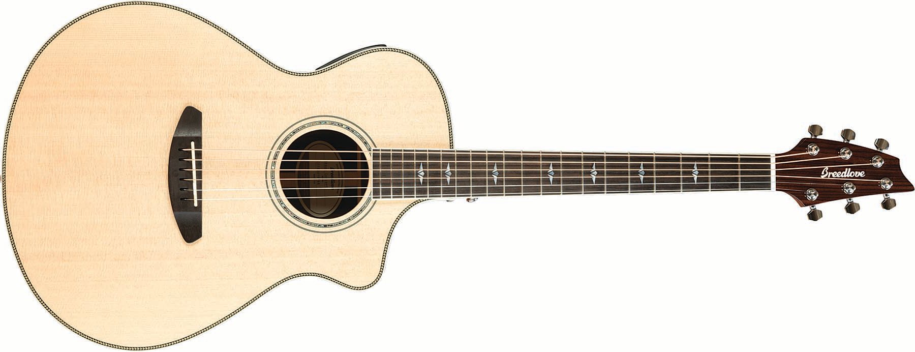 Acoustic-Electric Guitar