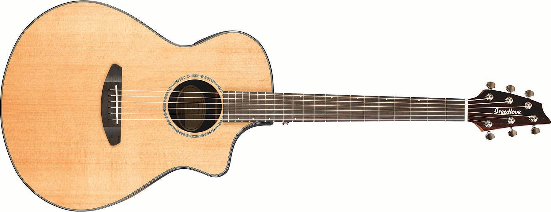 Acoustic-Electric Guitar