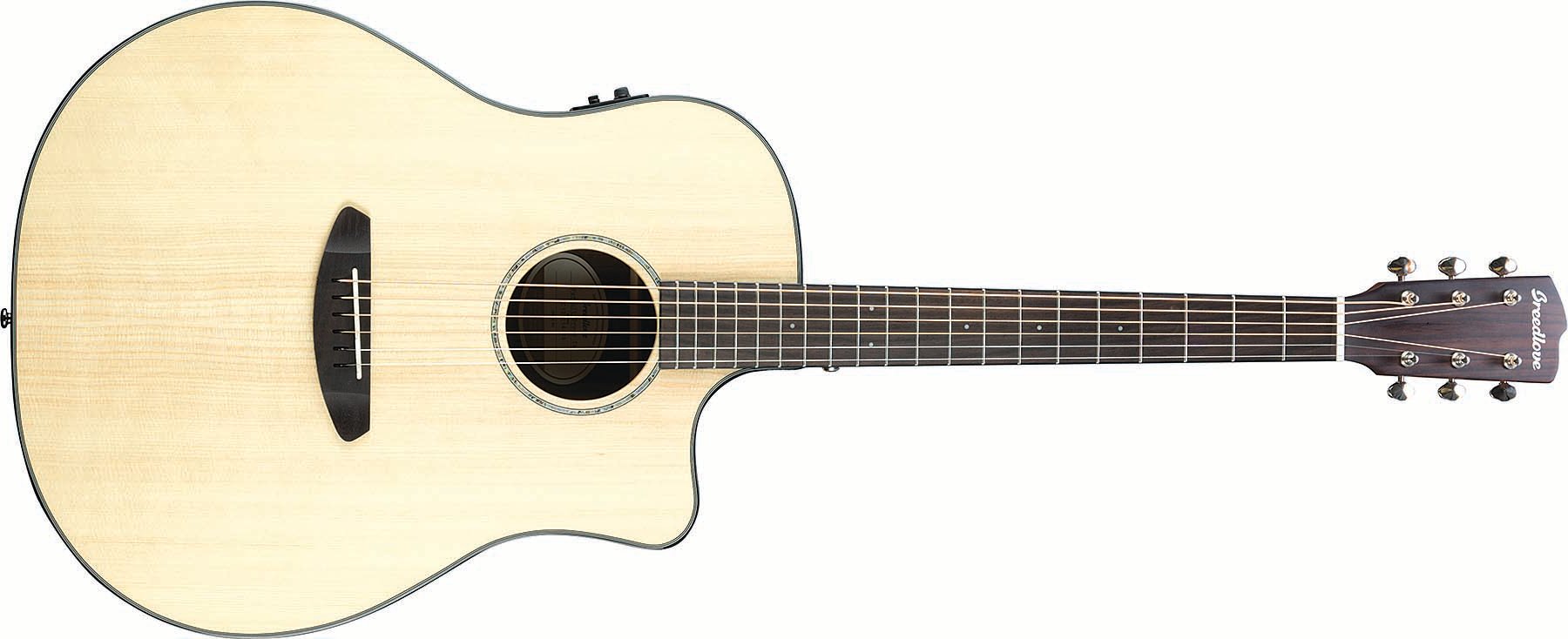 Acoustic Guitar with Ebony Back and Sides