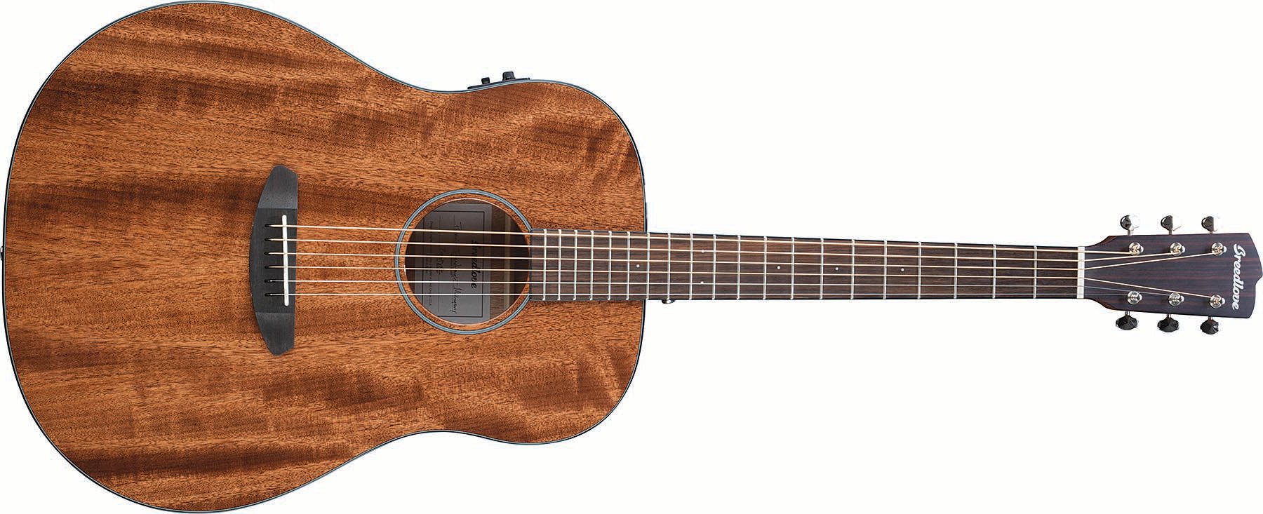 Acoustic Guitar with Mahogany Back and Sides