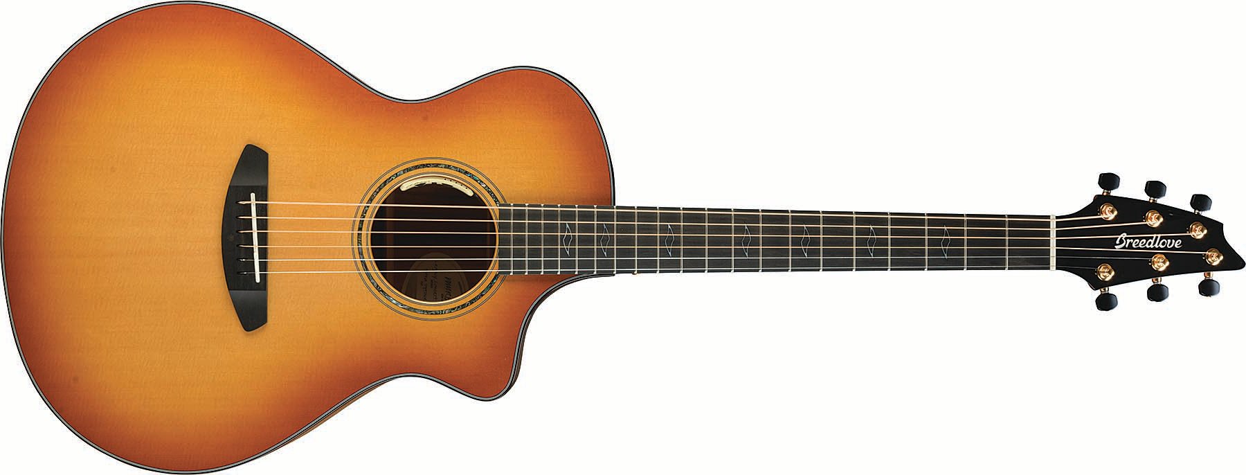Limited Edition Acoustic-Electric Guitar