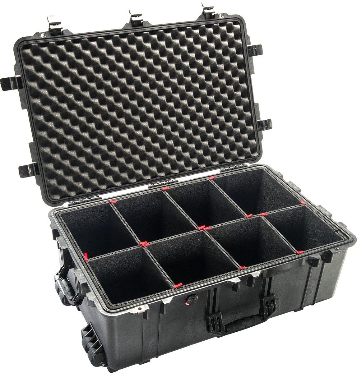 1650 Large Case with TrekPak Case Divider System