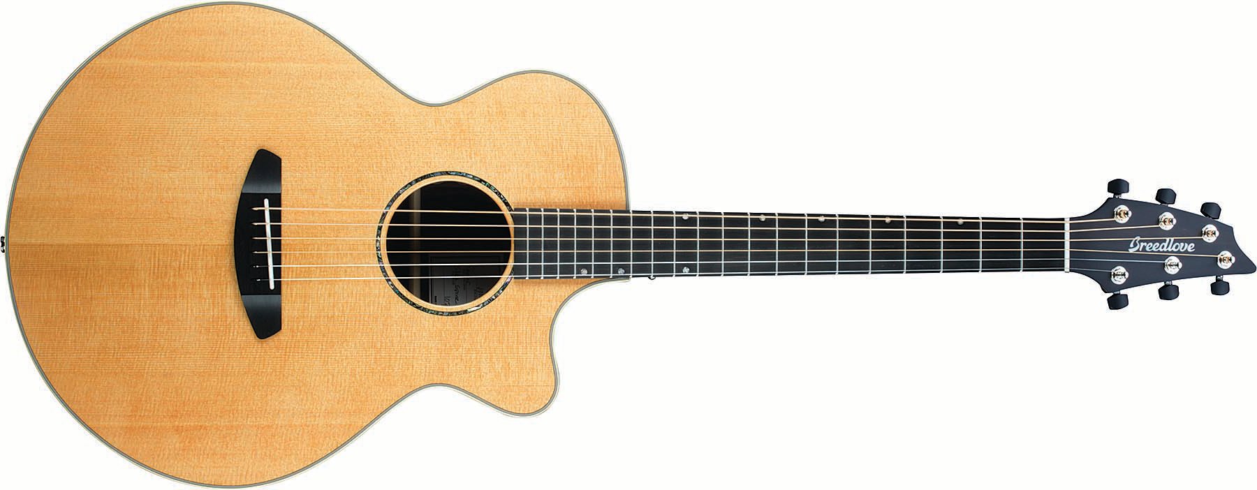 Acoustic-Electric Guitar