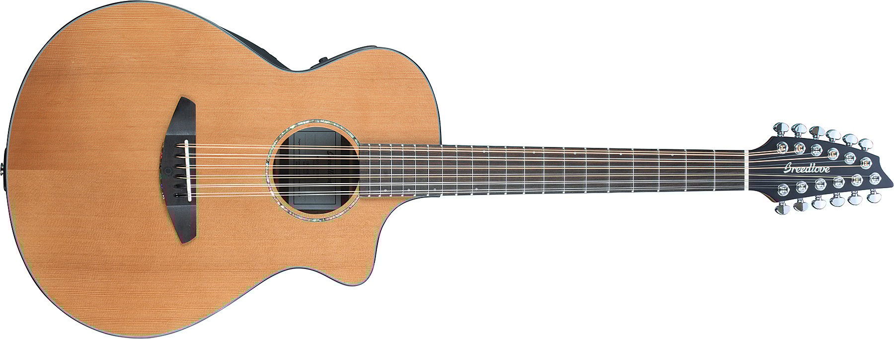 Solo 12-String Acoustic-Electric Guitar