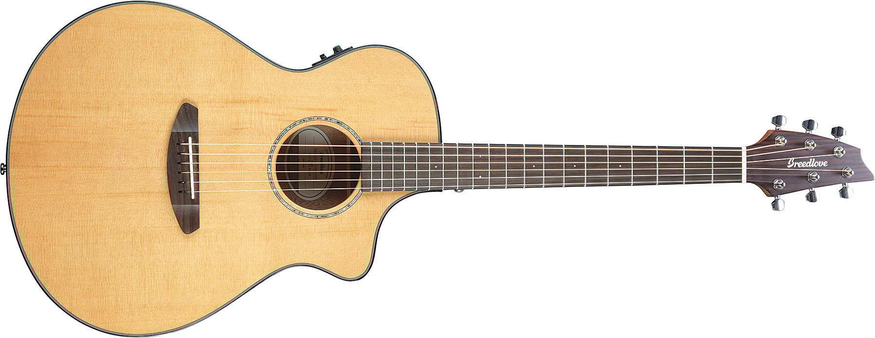 Acoustic-Electric Guitar