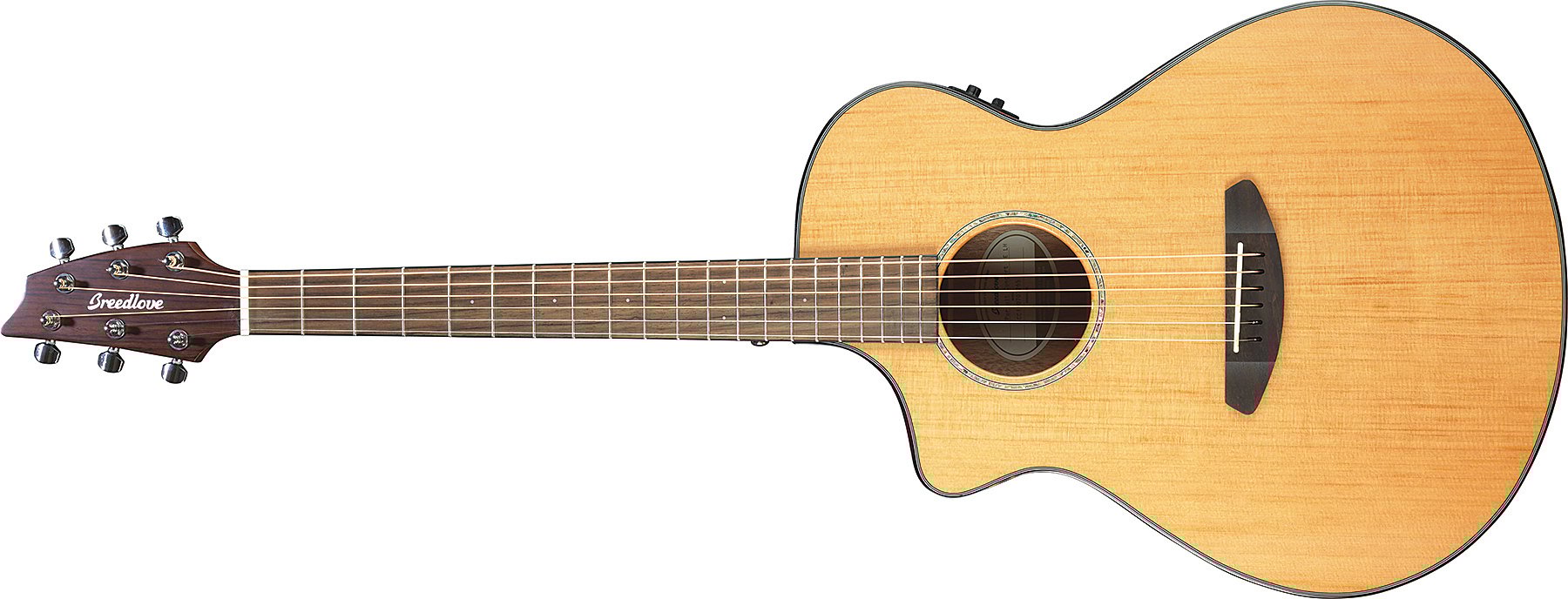 Left Handed Acoustic-Electric Guitar