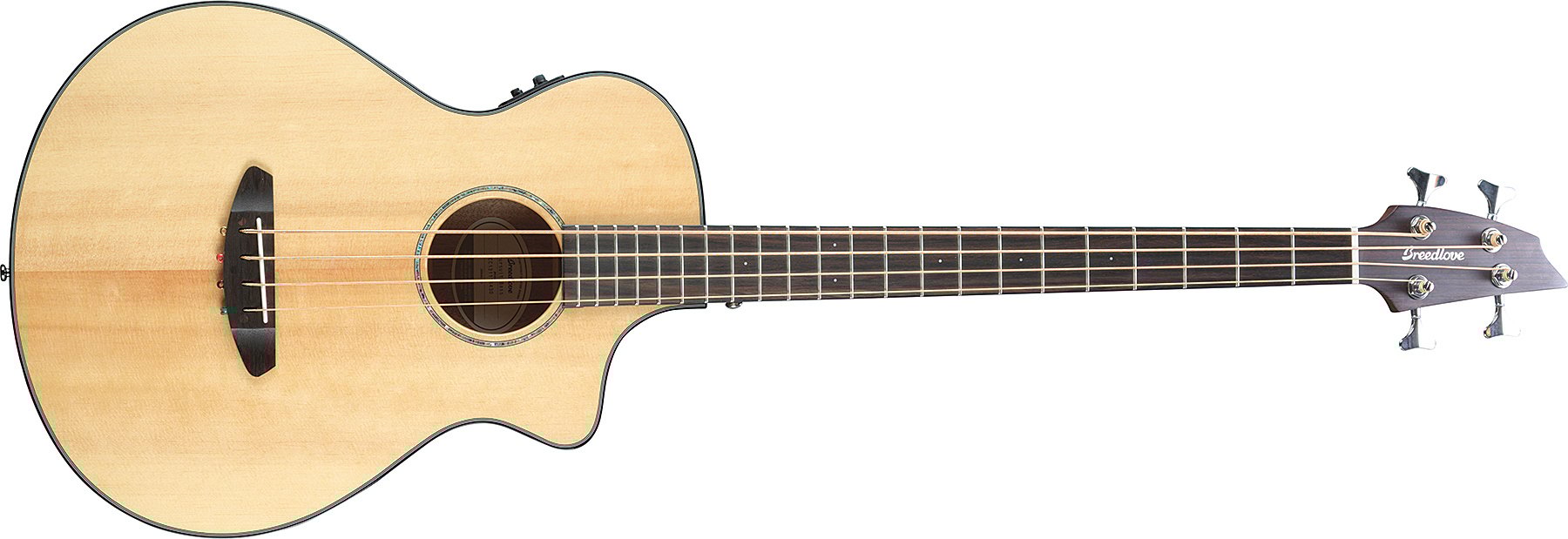 Acoustic-Electric Bass Guitar