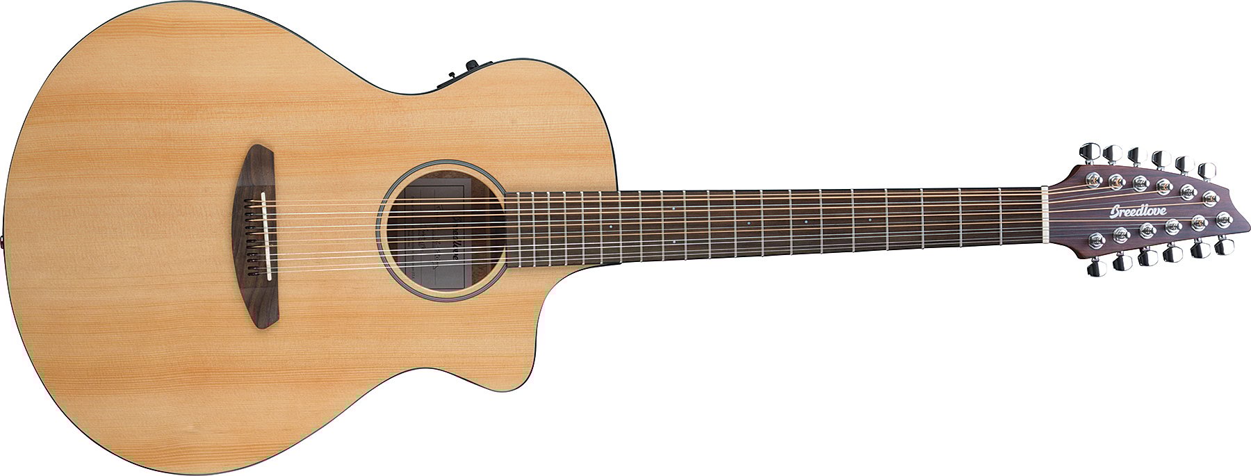 Acoustic-Electric Guitar