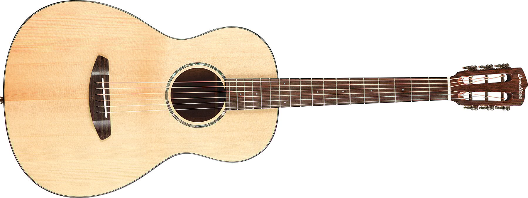 Acoustic-Electric Guitar
