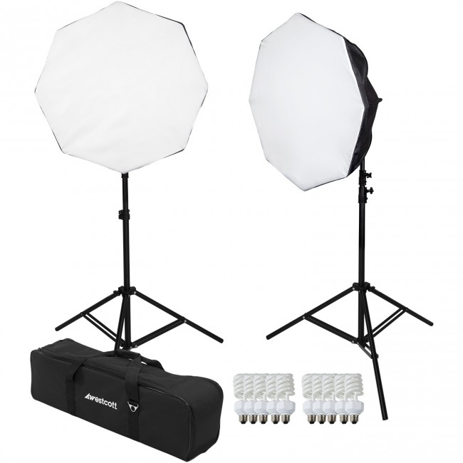 D5 2-Light Daylight Octabox Kit with Case