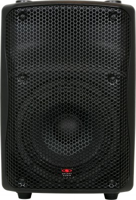 200 W Active Speaker