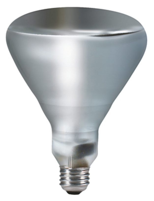 300W 120V Indoor Incandescent Flood Lamp