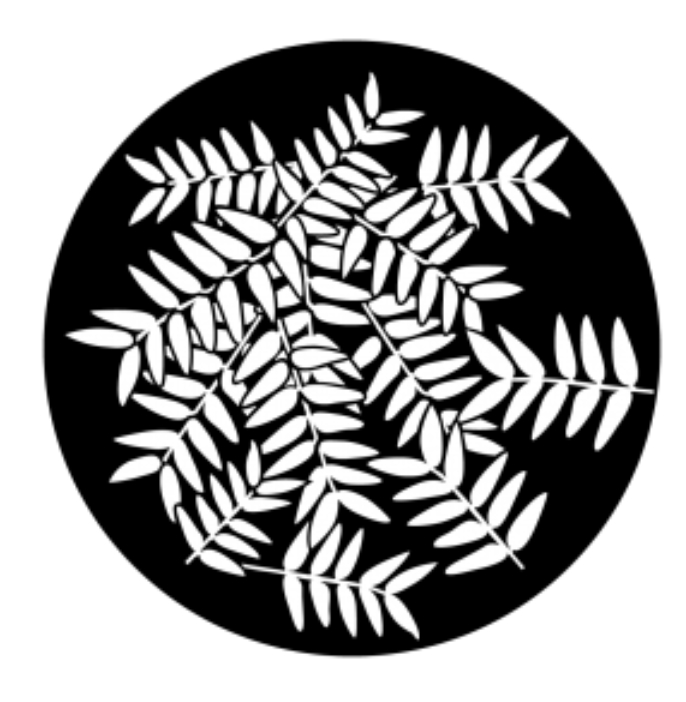 Ash Branches Metal Gobo