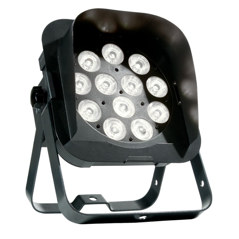 12 x 5W RGBW LED Slim Par Fixture with DMX