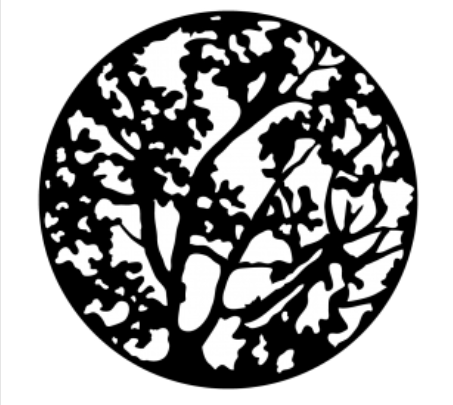 Spring Branches Steel Gobo