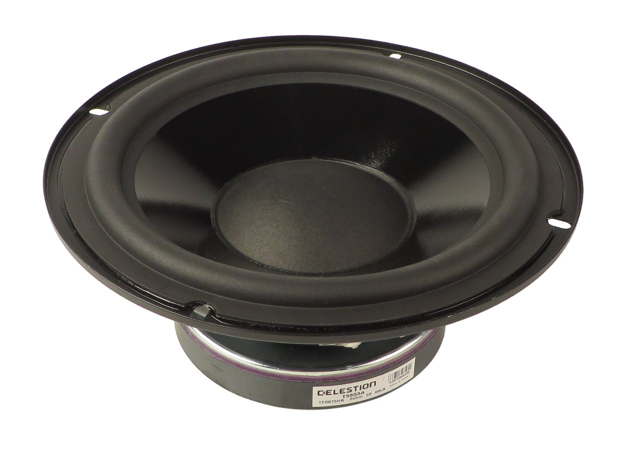 8" 20 Ohm Celestion Woofer for Lucas Nano 300