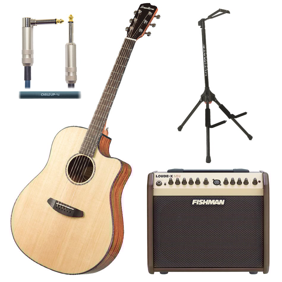 Acoustic-Electric Guitar and Fishman Amp Performer Bundle