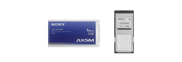 AXS Memory A Series Card, 1 TB, 4.8 Gbps