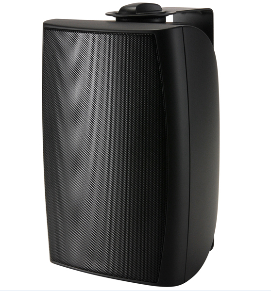 10W/70V Indoor/Outdoor Two-Way Foreground Music Speaker