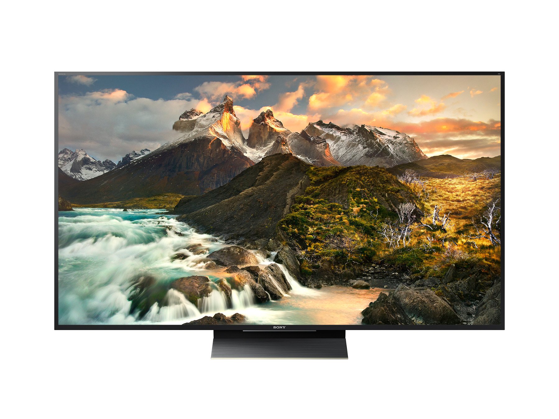 65” Class (64.5” diag) 4K HDR Ultra HD Pro BRAVIA Display
