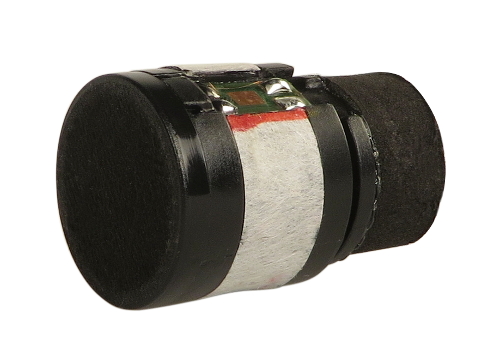 Mic Element for BPHS1
