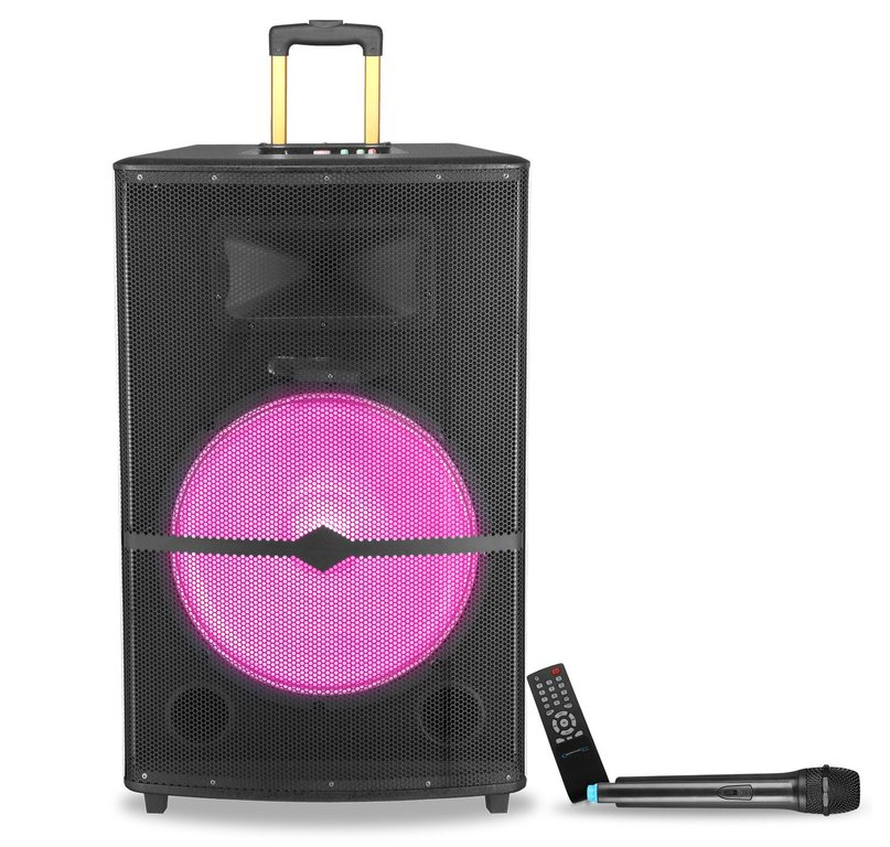Rechargeable 18" Bluetooth Active Speaker