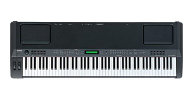 88-Key Professional Digital Piano