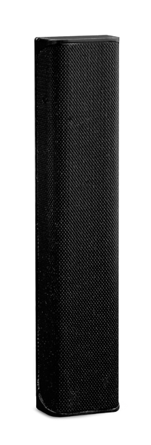 Lyzard Mini Line Array Element B, Black