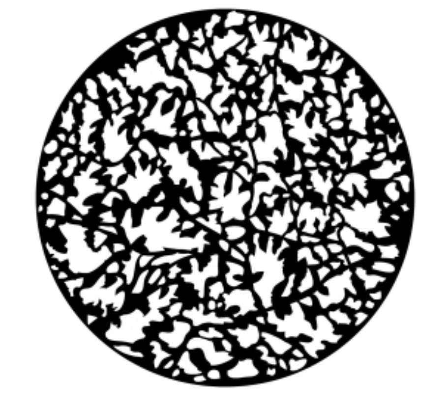 Backyard Brush Steel Gobo