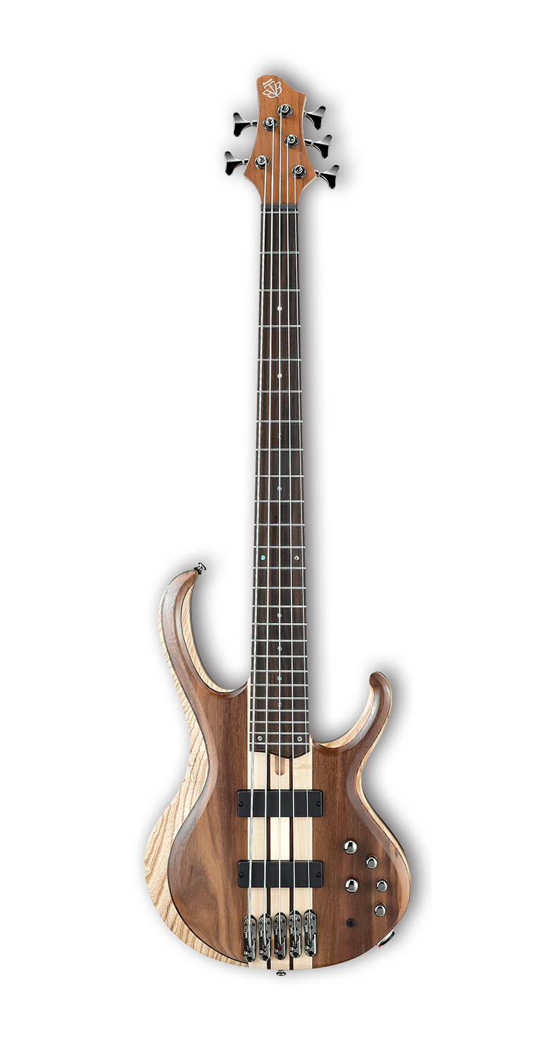 5-String Electric Bass with Rosewood Fretboard, Natural Low Gloss Finish
