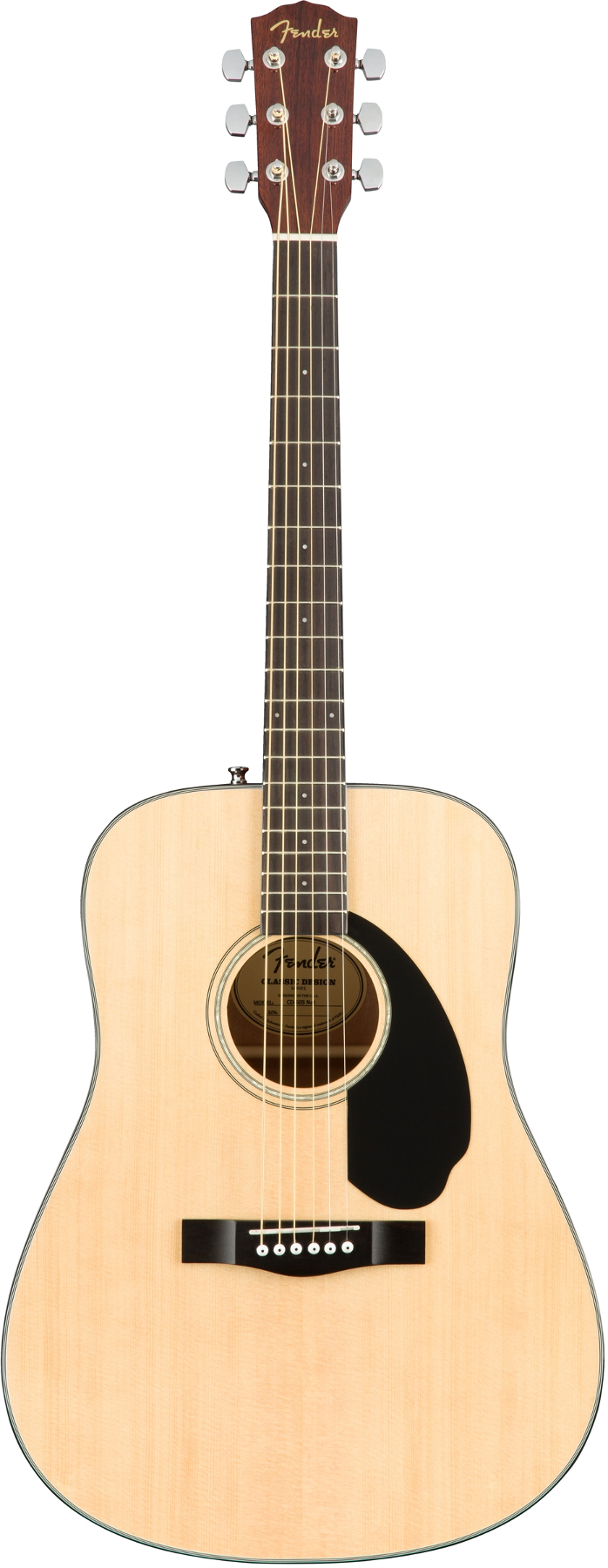 Dreadnought Style Acoustic Guitar