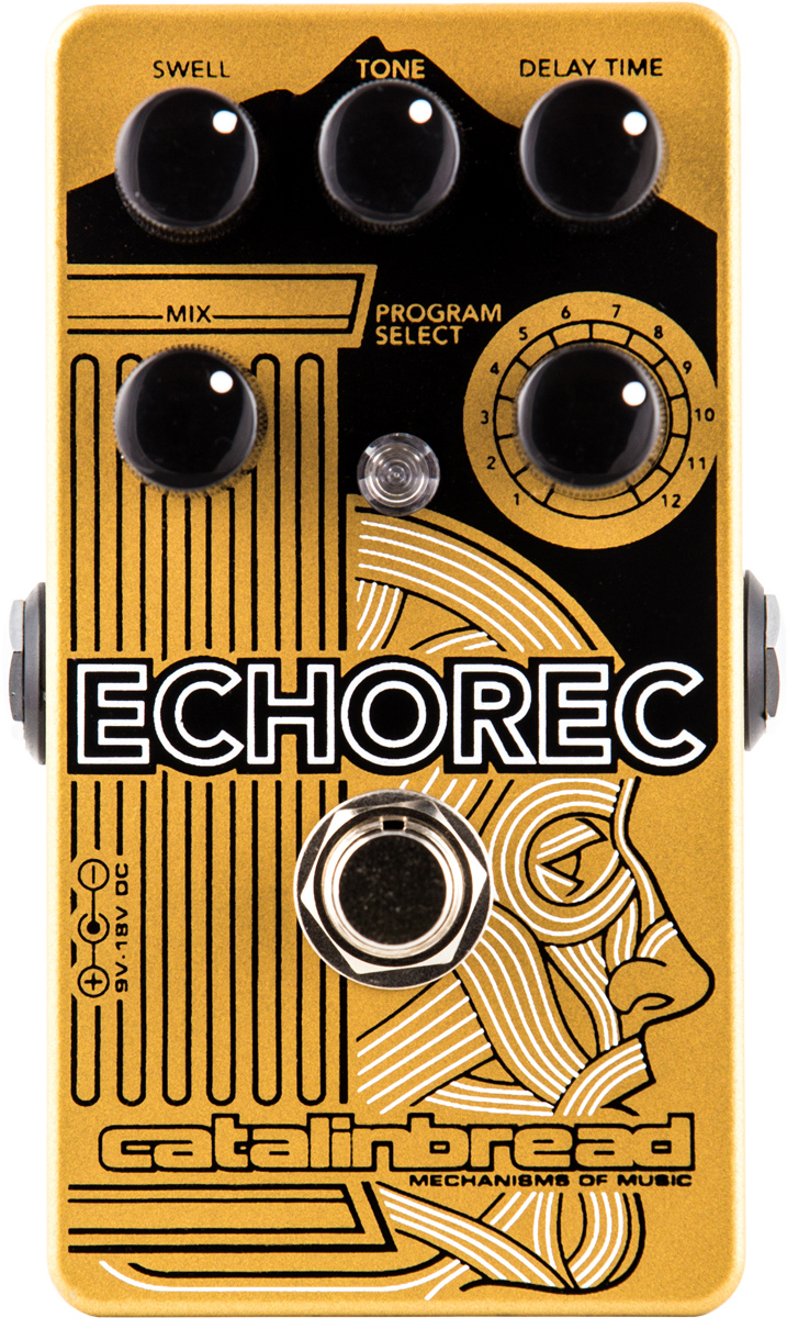 Multi-Tap Echo Guitar Pedal