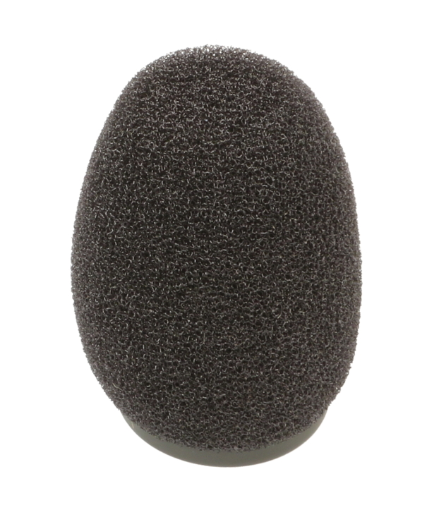 Windscreen for PM18S
