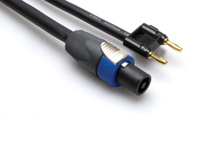 Speaker Cable, Neutrik speakON to Hosa Dual Banana, 3 ft