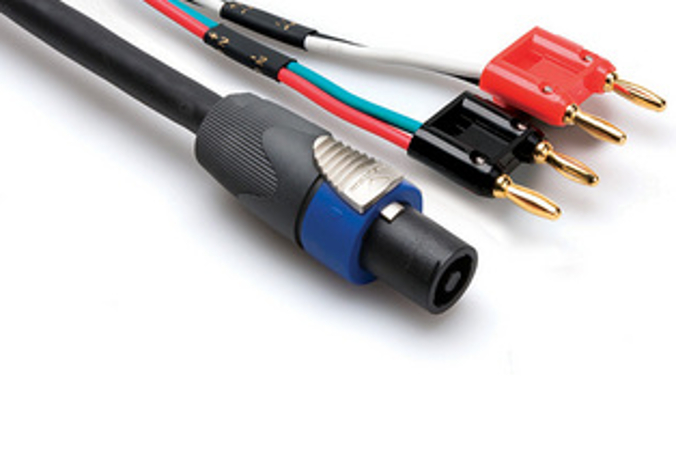 Speaker Cable, Neutrik speakON to 2 x Hosa Dual Banana, 50ft